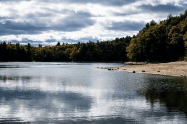 Walden
